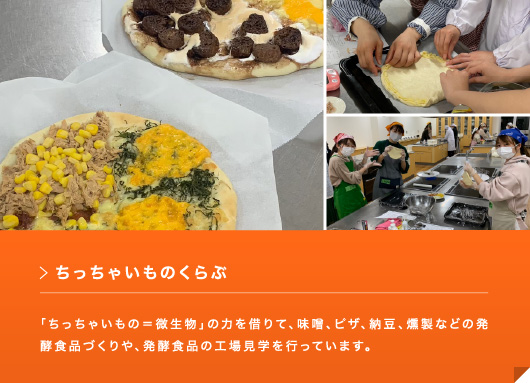 ちっちゃいものくらぶ 「ちっちゃいもの＝微生物」の力を借りて、味噌、ピザ、納豆、燻製などの発酵食品づくりや、発酵食品の工場見学を行っています。