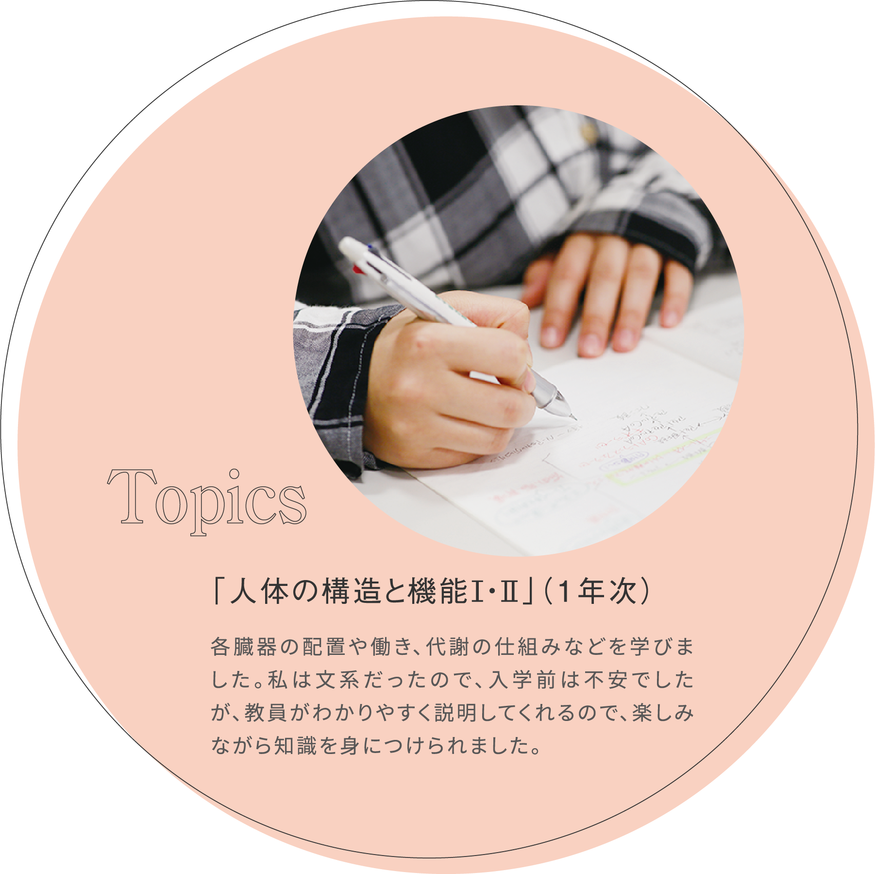 「人体の構造と機能Ⅰ・Ⅱ」（1年次） 各臓器の配置や働き、代謝の仕組みなどを学びました。私は文系だったので、入学前は不安でしたが、教員がわかりやすく説明してくれるので、楽しみながら知識を身につけられました。